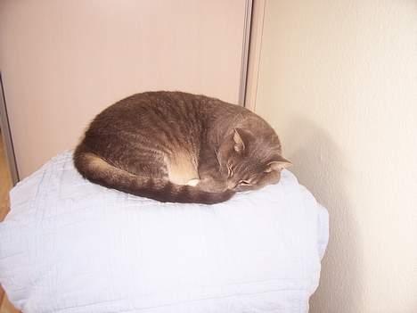 Huskat mille billede 1