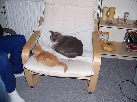 Huskat mille billede 3