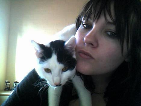 Huskat **Basse** [ himmelkat ] - " Det er altid dejligt bare og slappe af her på min mors skulder " billede 3