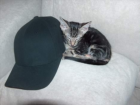 Blanding af racer killing - go´nat billede 2