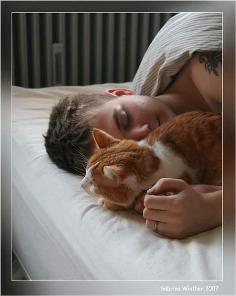 Huskat Felix R.I.P. - Jeg hader mandage morgener!!! billede 15