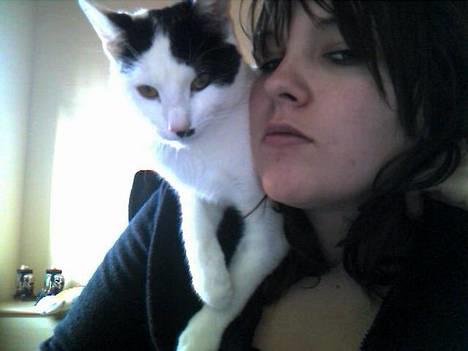 Huskat **Basse** [ himmelkat ] - "Mors skulder er så gode at ligge på" billede 12