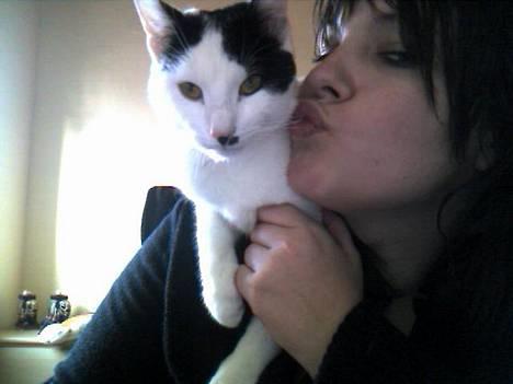 Huskat **Basse** [ himmelkat ] - "Mor, ikke her foran andre" billede 13