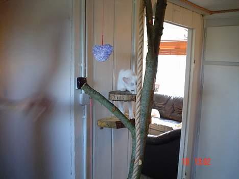 Huskat missi - wooow billede 6