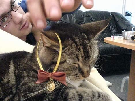 Blanding af racer whisky - du må ikke tage den af mig.... billede 8