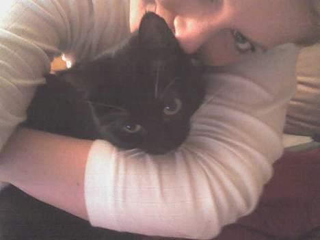 Huskat Emmely billede 19