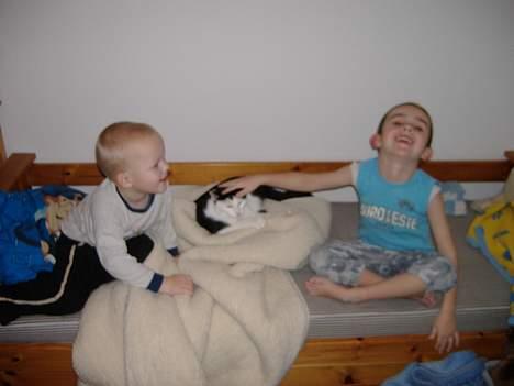 Huskat Hannibal billede 6