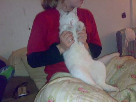 Huskat snehvide givet væk :( billede 12