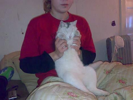 Huskat snehvide givet væk :( billede 13