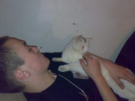 Huskat snehvide givet væk :( billede 14