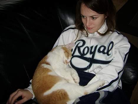 Huskat Nano - Hvor er det hyggeligt at putte på mor når hun ligger i sofaen! Her er jeg 9 måneder gammel. billede 16