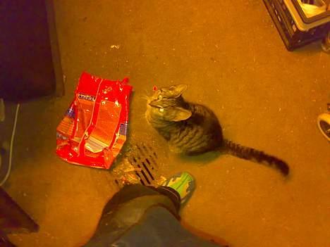 Huskat misling solgt billede 3