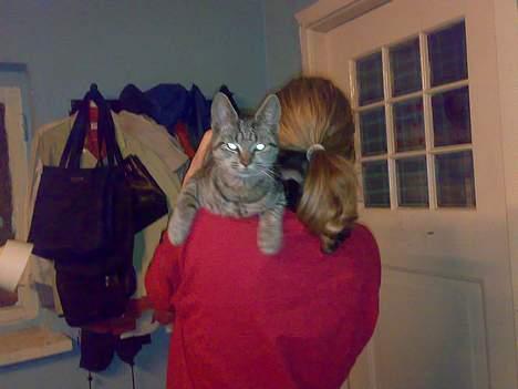 Huskat misling solgt billede 4