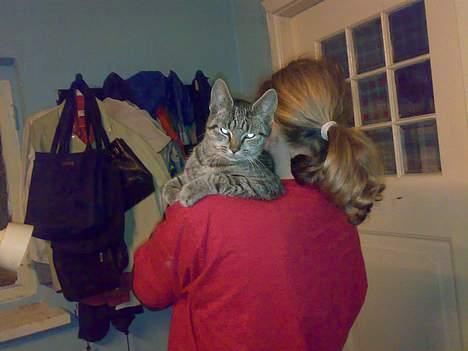 Huskat misling solgt billede 5