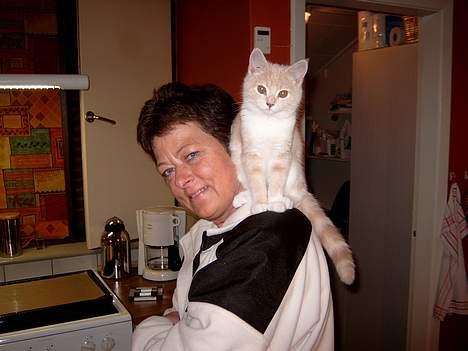 Blanding af racer Duchesse - Da jeg var baby kunne jeg godt lide at side som en papegøje billede 7