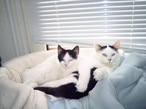 Huskat My billede 10