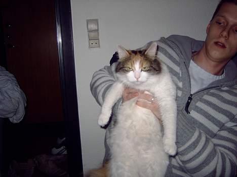 Blanding af racer Mille - Jeg er lidt træt billede 11