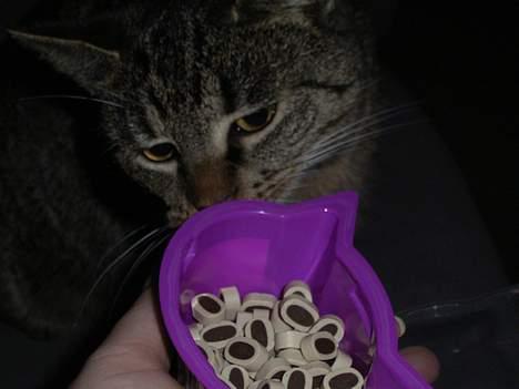 Huskat Bandit - Tror mor giver en bom?????? billede 11