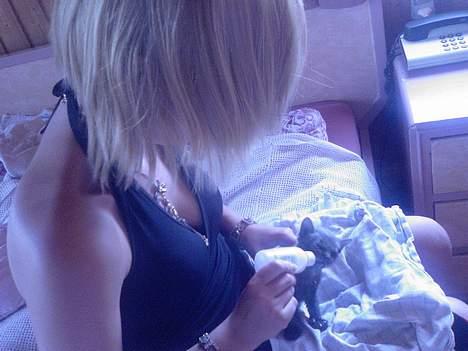 Huskat Mikkel billede 4