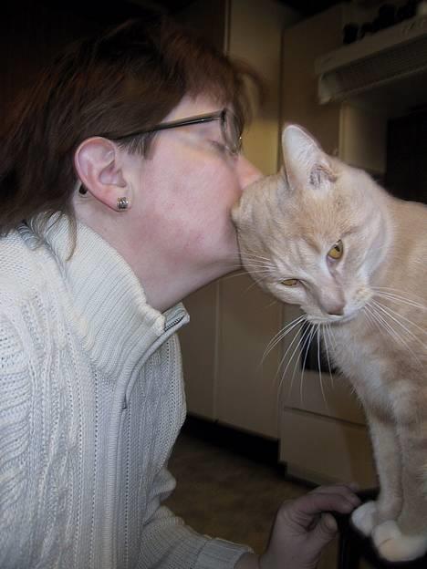 Blanding af racer Vivaldi død 2007 billede 6