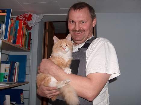 Norsk Skovkat Røde *RIP d.26-05-07* - Røde og far billede 6