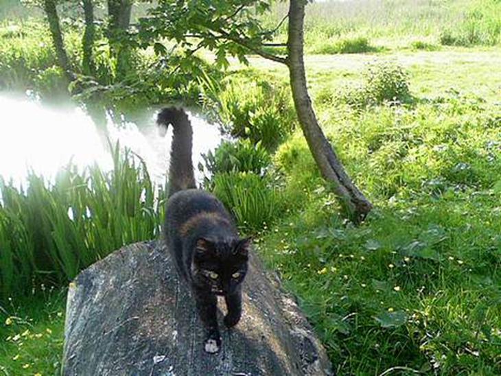 {{currentPhoto.altText}} billede {{currentPhoto.number}}