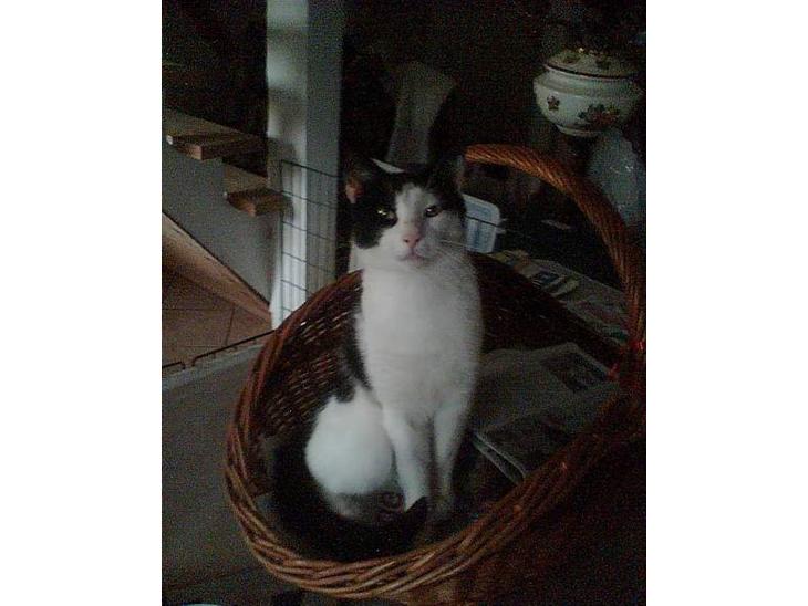 {{currentPhoto.altText}} billede {{currentPhoto.number}}