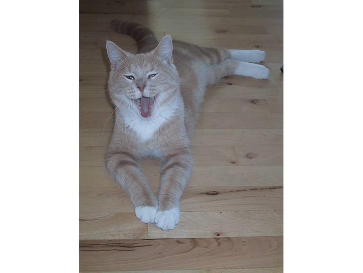 {{currentPhoto.altText}} billede {{currentPhoto.number}}