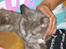 Huskat Dusty *R.I.P* - Ja nusses.. c",)