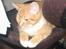 Huskat Kosten - I´m the man.....!