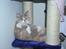 British Shorthair GODTEN  RIP 12/4-2010 - jeg hviler bare jeg sidder ikke fast
