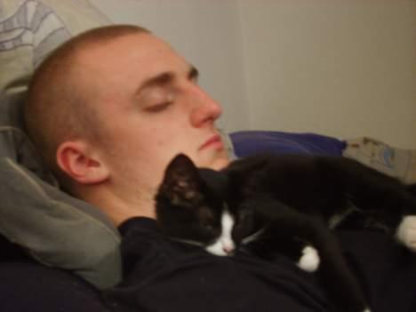 Huskat Gerda *R.I.P* - Her tager hun og kæresten sig lige en lille lur. billede 4