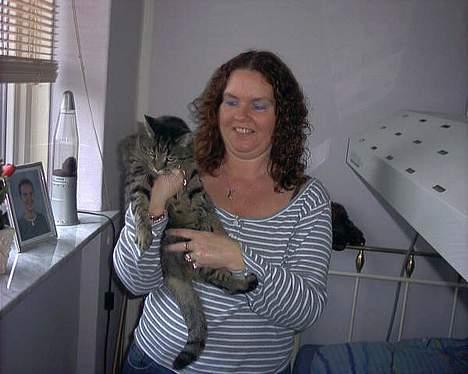 Huskat sammy billede 8