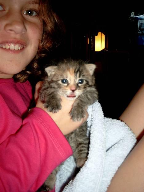 Huskat Mille - Mille rækker tunge. billede 1