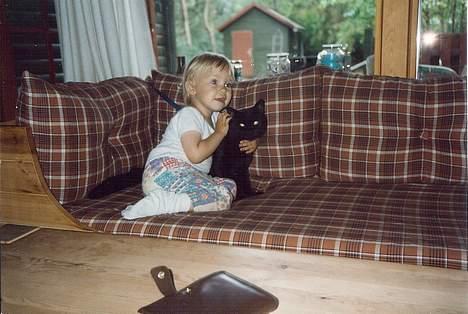 Blanding af racer Misser - Mig og Misser - hans første tur i sommerhus billede 5