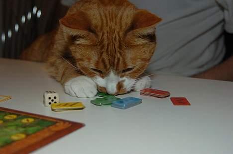 Huskat Frandsen - Jeg skal bare lige ha den her... billede 2