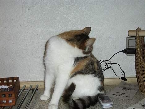 Huskat bettemis'!(:.<3 - jeg elsker dig kati;. billede 2