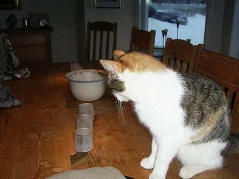 Huskat bettemis'!(:.<3 - <3. billede 13