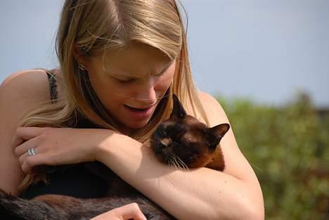 Burmeser Møllers billede 7