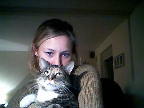 Huskat Putte billede 7