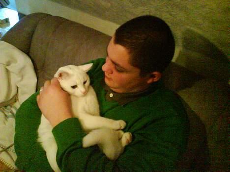 Huskat Felix billede 15