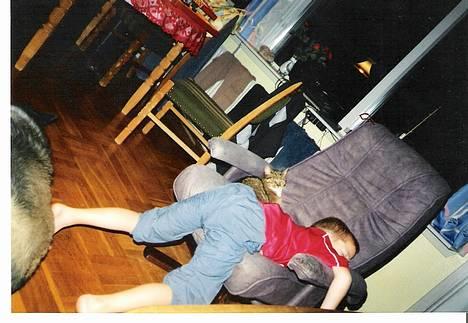 Huskat Tikki - "her lige mig og Sebastian og får en lille lur" billede 5