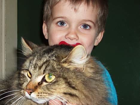 Blanding af racer Signe billede 8