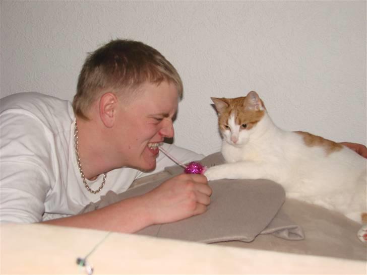 Huskat Whisky - far vil lege billede 19