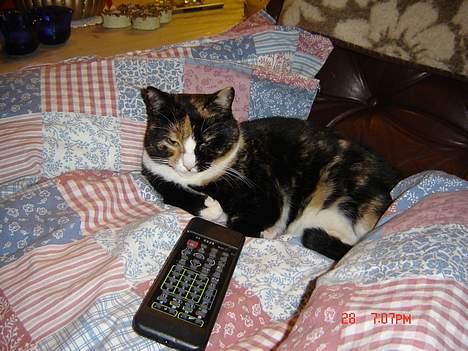 Huskat Patricia - ha jeg har fjernbetjening det er mig der bestemmer billede 1