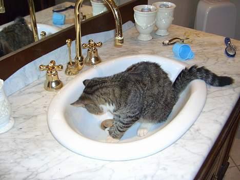 Huskat Athos billede 3