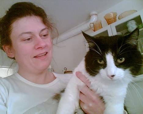 Norsk Skovkat Robin - Arrjjj mooooaaarrrr, sæt mig neeeed....  billede 10