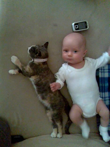 Huskat gucci billede 7