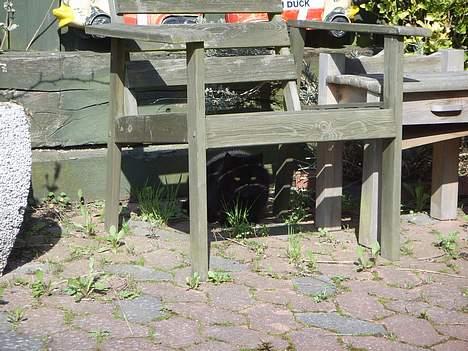 Huskat Misty - R.I.P d.08/01-200 - Træt af billeder...  billede 11