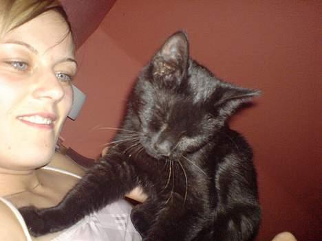 Huskat Mikkel billede 9